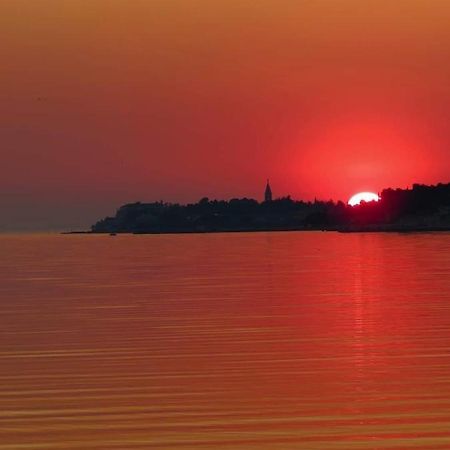 Apartment Novigrad City Centre 외부 사진